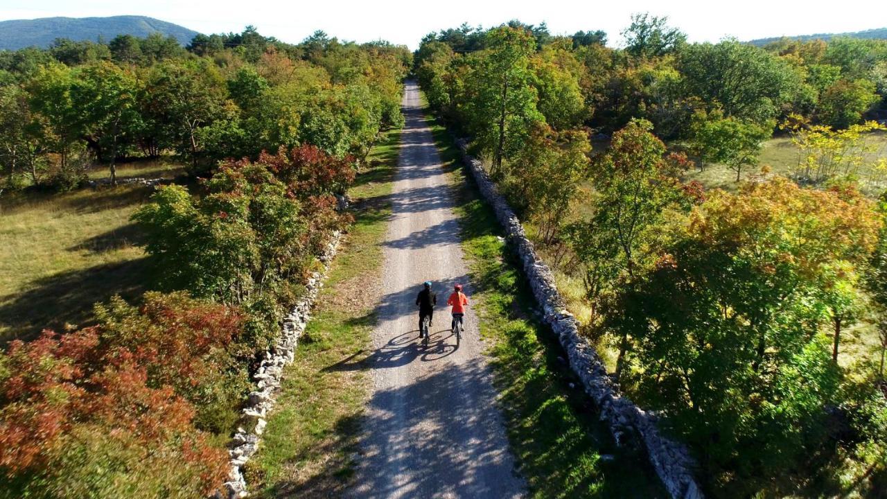 Vila Brinovka Kostanjevica na Krasu Exteriér fotografie