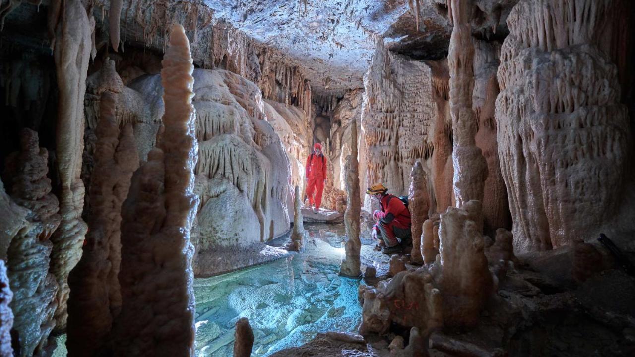 Vila Brinovka Kostanjevica na Krasu Exteriér fotografie